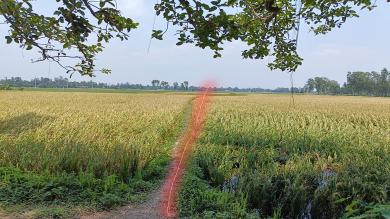 চান্দাইকোনা "গায়েব" এক কিলোমিটার রাস্তা চরম দুর্ভোগে কয়েক 