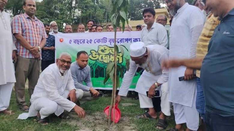 বৃক্ষরোপণ কর্মসূচির উদ্বোধন করলেন সাবেক উপমন্ত্রী আব্দুস সাল