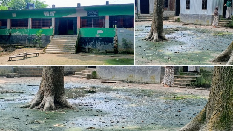 ভেওমারা সরকারি প্রাথমিক বিদ্যালয়ের মাঠে জলাবদ্ধতা, দুর্ভোগে শিক্ষক-শিক্ষার্থীরা...
