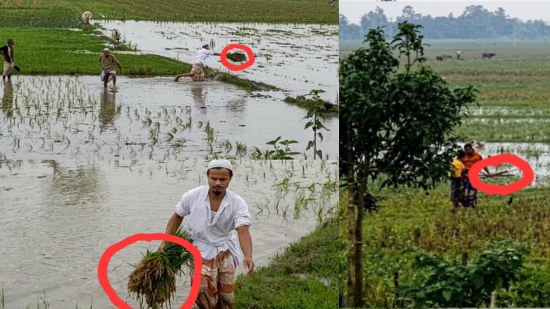 আদালতের আদেশ তোয়াক্কা না করে তারাগঞ্জে জমি দখল, শ্লীলতাহানি।