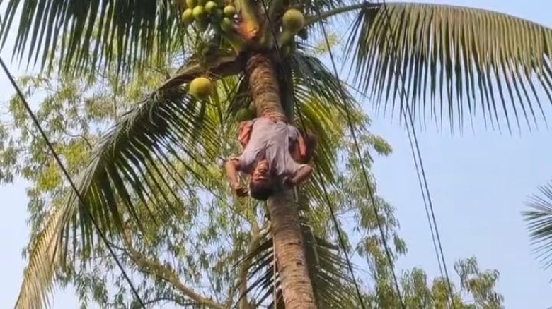 রায়গঞ্জে নারিকেল গাছ পরিষ্কার করতে গিয়ে বিদ্যুৎস্পৃষ্টে যুবক